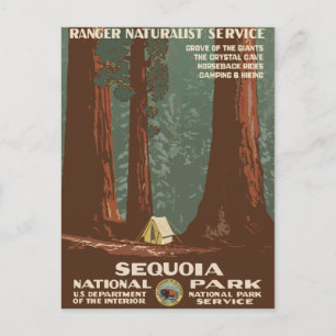 Carte Postale Poster du Vintage voyage du parc national Sequoia