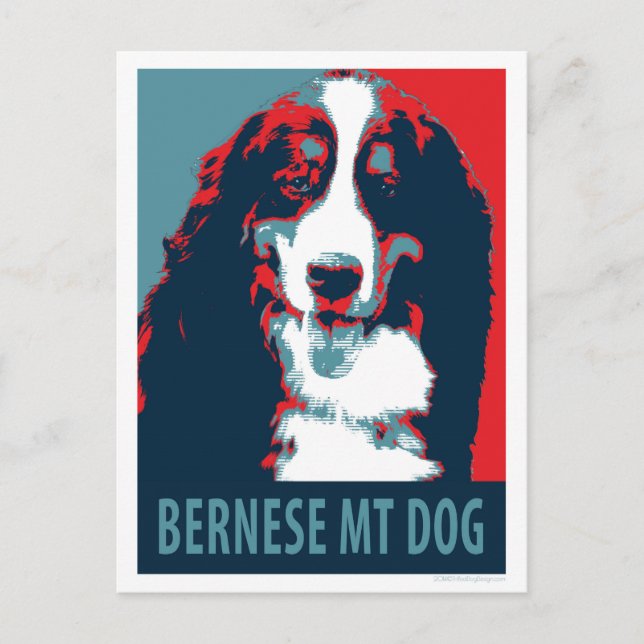 Carte Postale Poster politique de Bernese Mountain Dog (Devant)