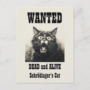 Carte Postale Poster Recherché Vintage amusant Schrödinger's Cat