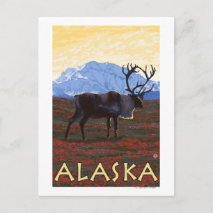 Carte Postale Poster Vintage voyage AlaskaCaribou