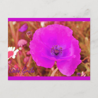 Carte Postale Postkarte