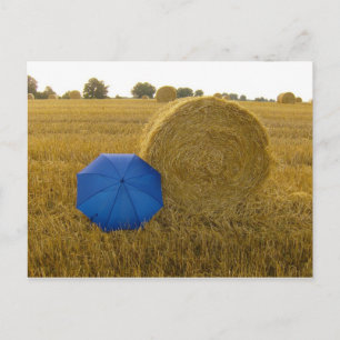 Carte Postale Postkarte - ein ungleiches Paar