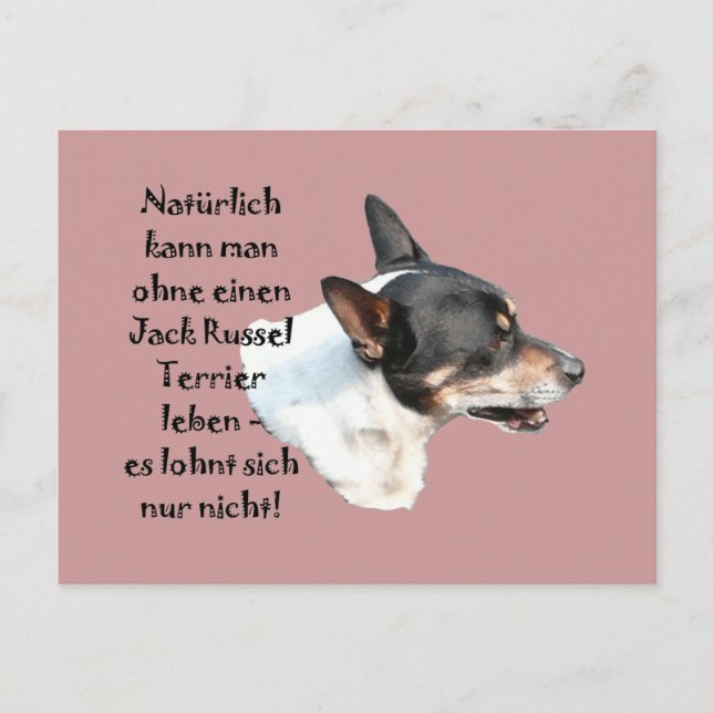 Carte Postale Postkarte "Jack Russel Terrier" (Devant)