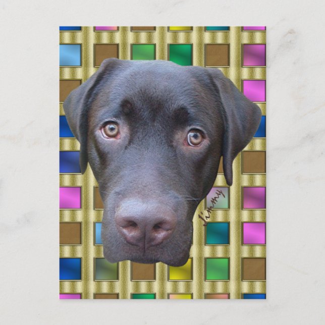 Carte Postale Postkarte Labrador Jimmy (Devant)