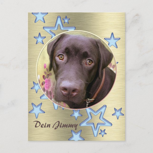 Carte Postale Postkarte Labrador Jimmy (Devant)