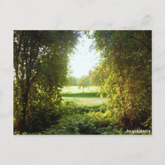 Carte Postale Postkarte - Laubfenster