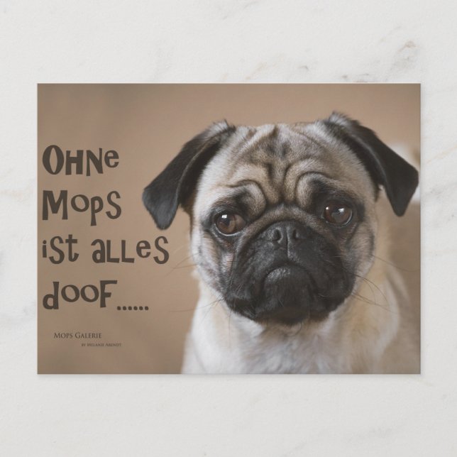 Carte Postale Postkarte "Ohne Mops ist alles doof" (Devant)