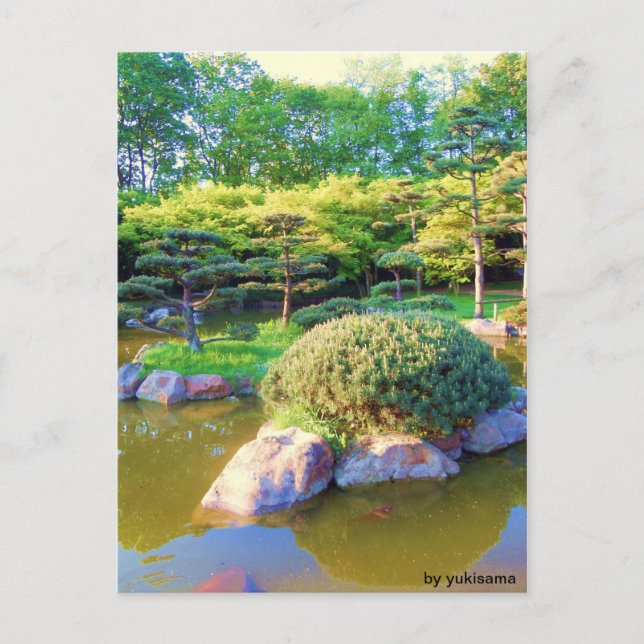 Carte Postale Postkarte - Schildkröten Insel (Devant)