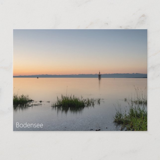 Carte Postale Postkarte vom Bodensee mit Alpen (Devant)