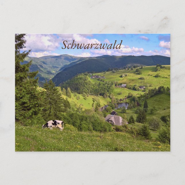 Carte Postale Postkarte : Wiesen und eine Kuh mit Panoramaansich (Devant)