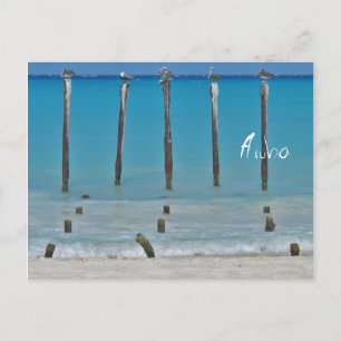 Carte Postale Posts Pelican Posts Aruba Postcard