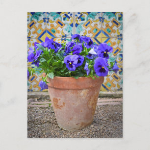 Carte Postale Pot à fleurs de panneaux violets
