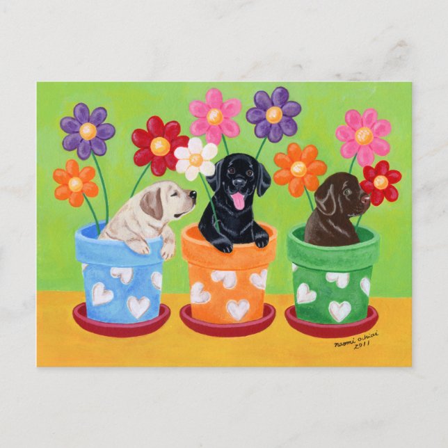 Carte Postale Pot à fleurs Labrador Chiots (Devant)