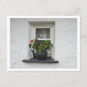 Carte Postale Pot de fenêtre