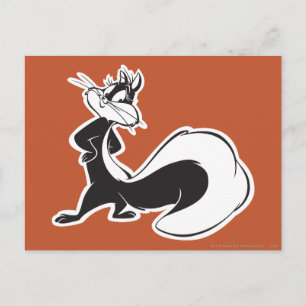 Carte Postale Pot de pénélope