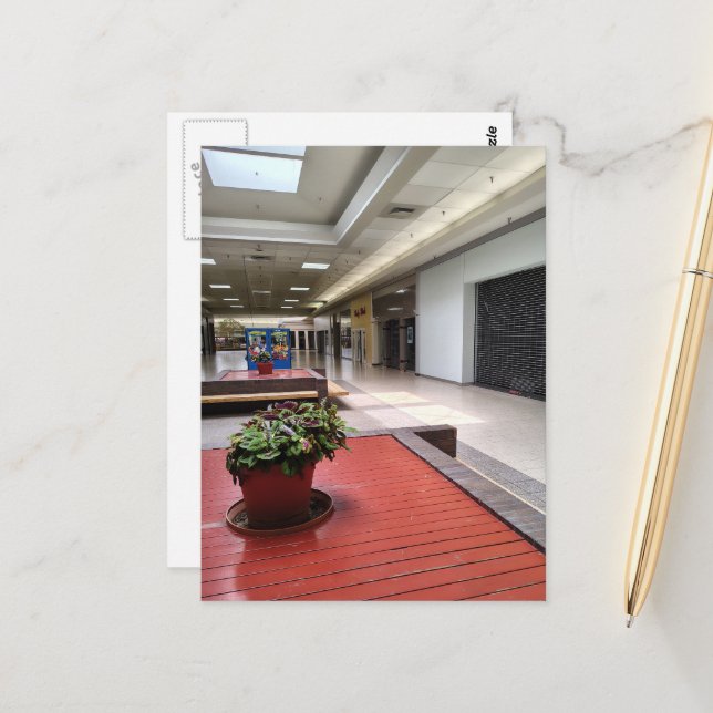 Carte Postale Pot de plantes d'intérieur Espace liminal Centre c (Devant/Arrière en situation)