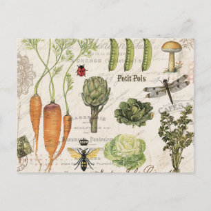 Carte Postale potager vintage