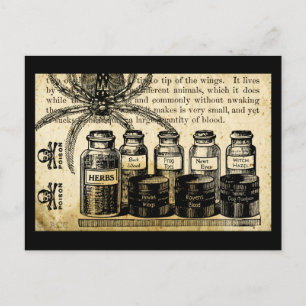 Carte Postale Potions Araignée Crâne Croix Os Poison