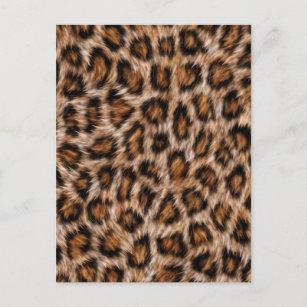 Carte Postale Pots de léopard Fourrure Jaguar Animal Chat peau M