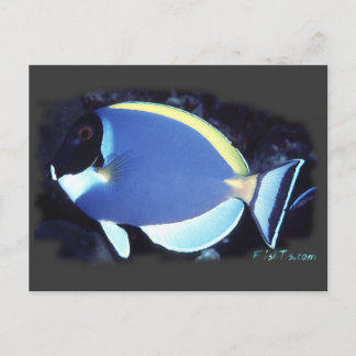Carte Postale Poudre Bleu Tang
