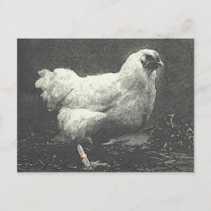 CARTE POSTALE POULE