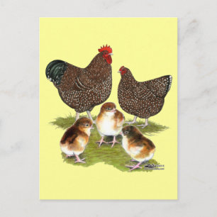 Carte Postale Poule de la famille Jubilé d'Orpington