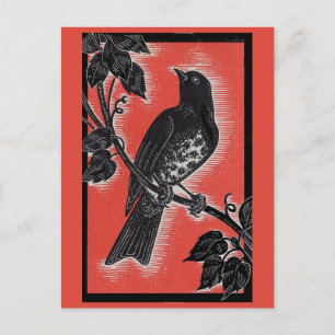 Carte Postale poule noire avec rouge