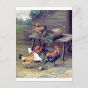 Carte Postale Poules du panier à diner