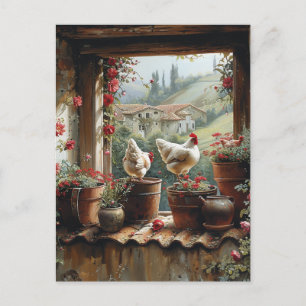 Carte Postale Poules Seau Rouillé Pots En Terre Cuite Tuiles Cam