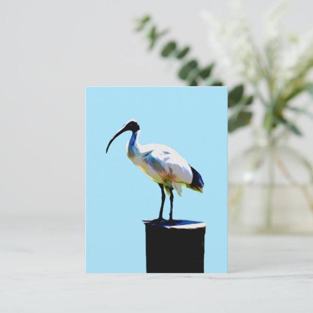 Carte Postale Poulet À Bin, Peinture À Huile Ibis, (Debout devant)