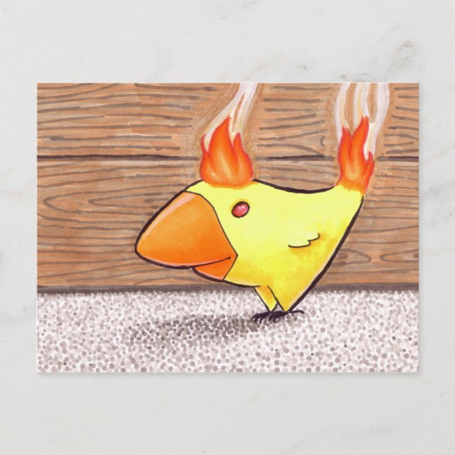Carte postale Poulet de feu (Devant)