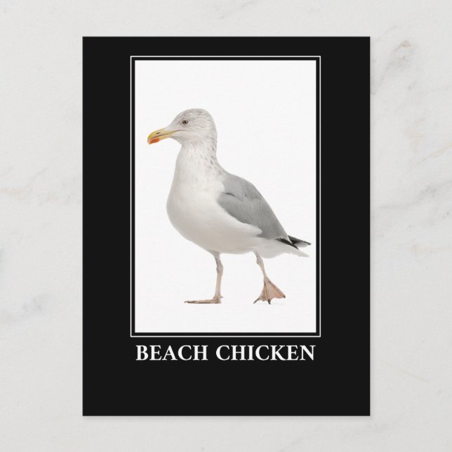 Carte Postale Poulet de Plage - Humour de goéland de Mouette de  (Devant)