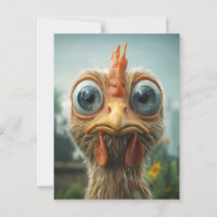Poulet Drôle aux Grands Yeux en Gros Plan