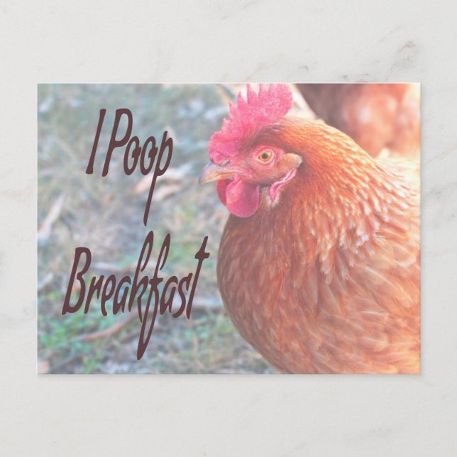 Carte Postale Poulet I poop Petit déjeuner Humour amusant (Devant)