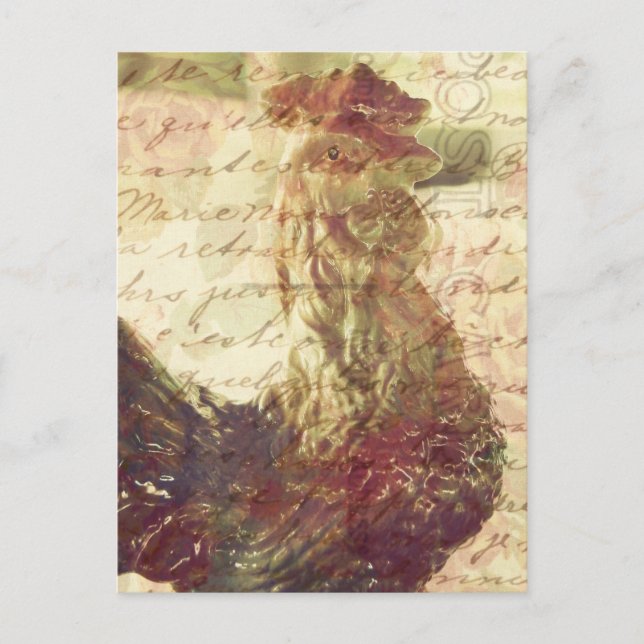 Carte Postale Poulet Vintage (Devant)