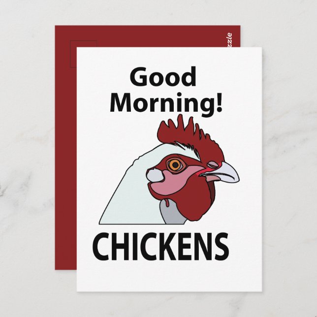Carte Postale Poulets Bon Matin Drôle Poulets (Devant / Derrière)