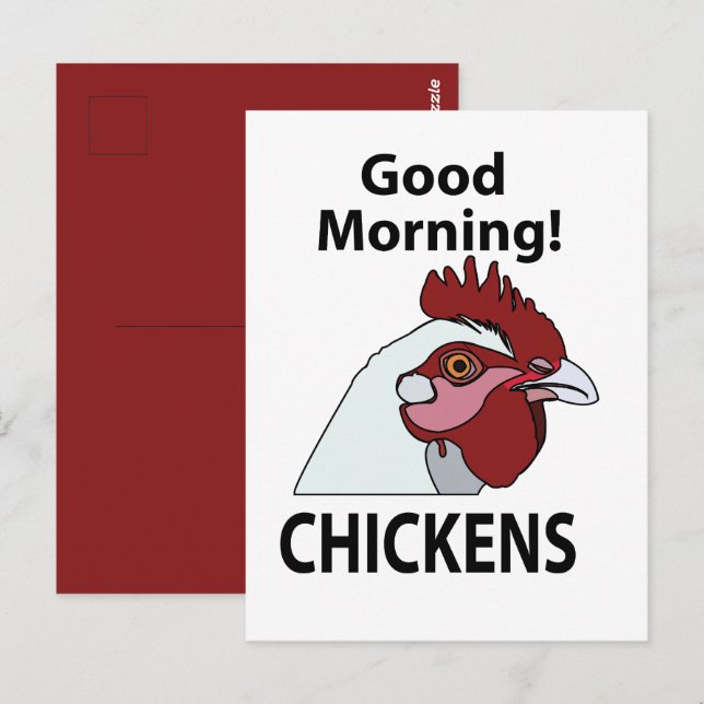 Carte Postale Poulets Bonjour Drôle de Poulet (Devant / Derrière)