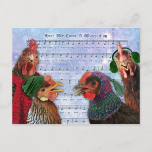 Carte Postale Poulets chantent des chants de Noël