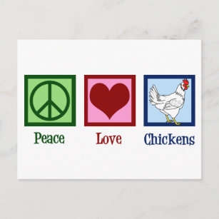 Carte Postale Poulets de l'amour pour la paix