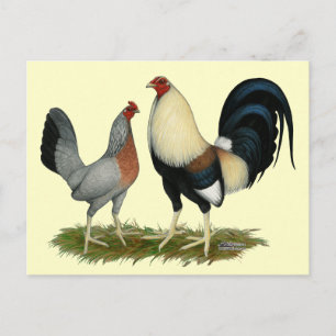 Carte Postale Poulets dorés
