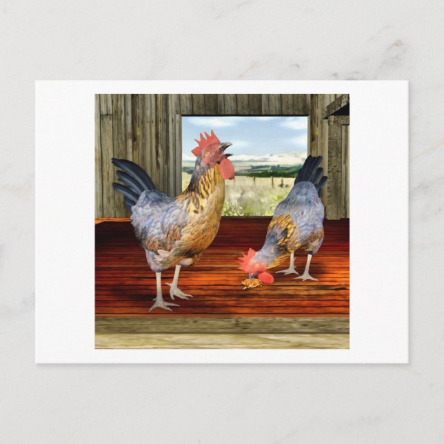 Carte Postale Poulets en Grange (Devant)