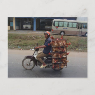Carte Postale Poulets en moto-Vietnam
