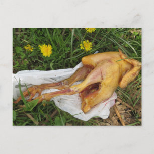 Carte Postale Poulets jetés