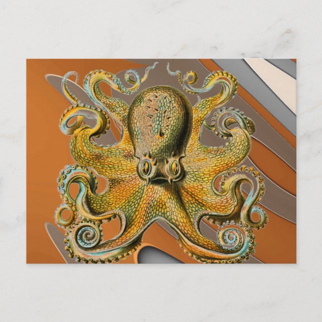 Carte Postale poulpe (Devant)