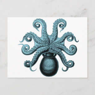 Carte Postale poulpe en Turquoise