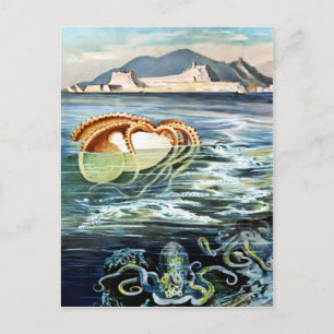 Carte postale poulpe et calmar vintage