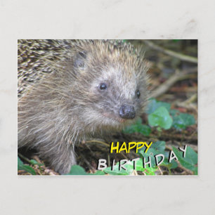 Carte postale pour Anniversaire à Hidehog mignon