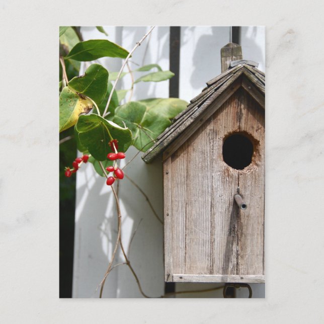 Carte Postale Pour Bob (Devant)