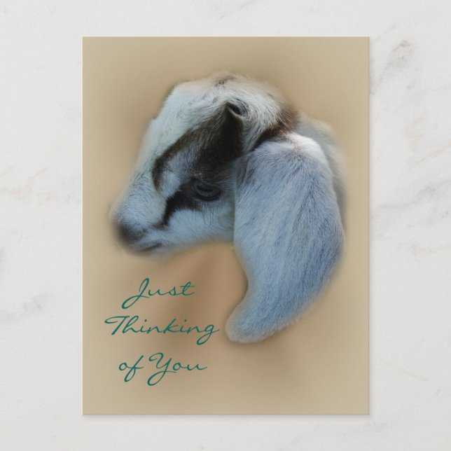 Carte postale pour chèvre-enfant - personnaliser (Devant)