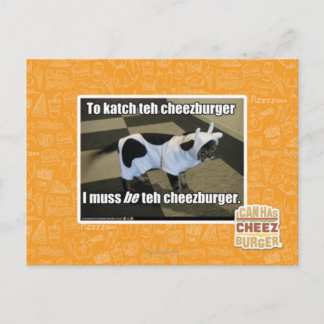 Carte Postale Pour faire katch le cheezburger (Devant)